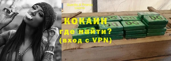 кокс Богородицк