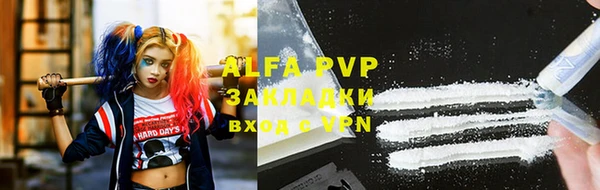 твердый Богданович
