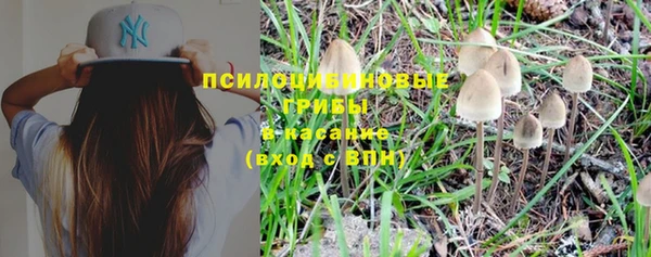 кокс Богородицк