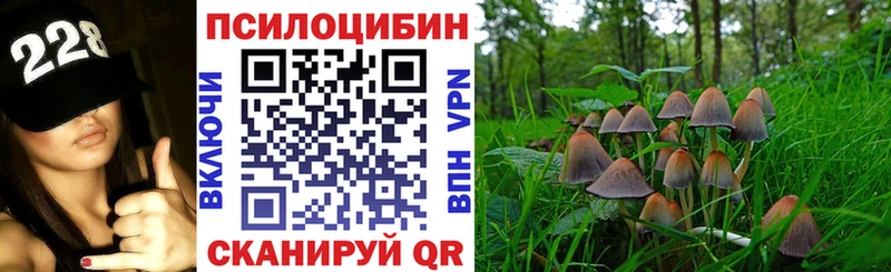 Псилоцибиновые грибы GOLDEN TEACHER  Дмитровск 