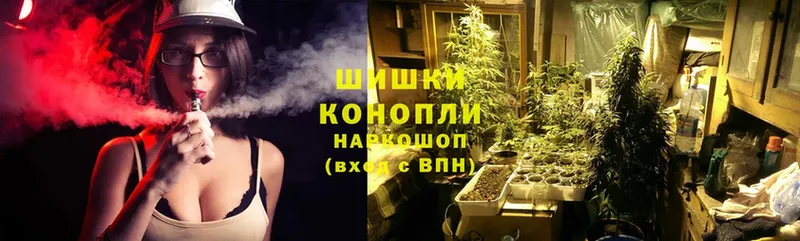 Марихуана THC 21%  наркошоп  Дмитровск 